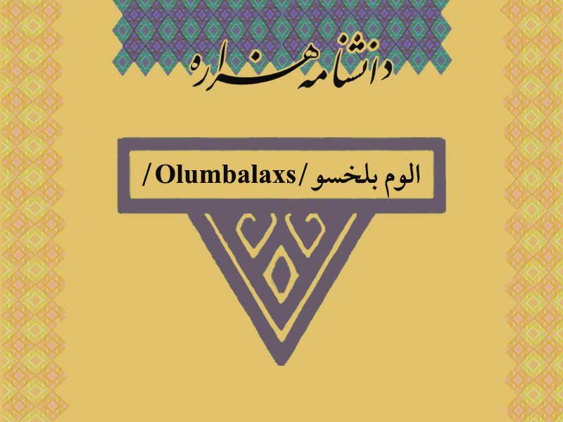 الوم بلخسو/Olumbalaxs/