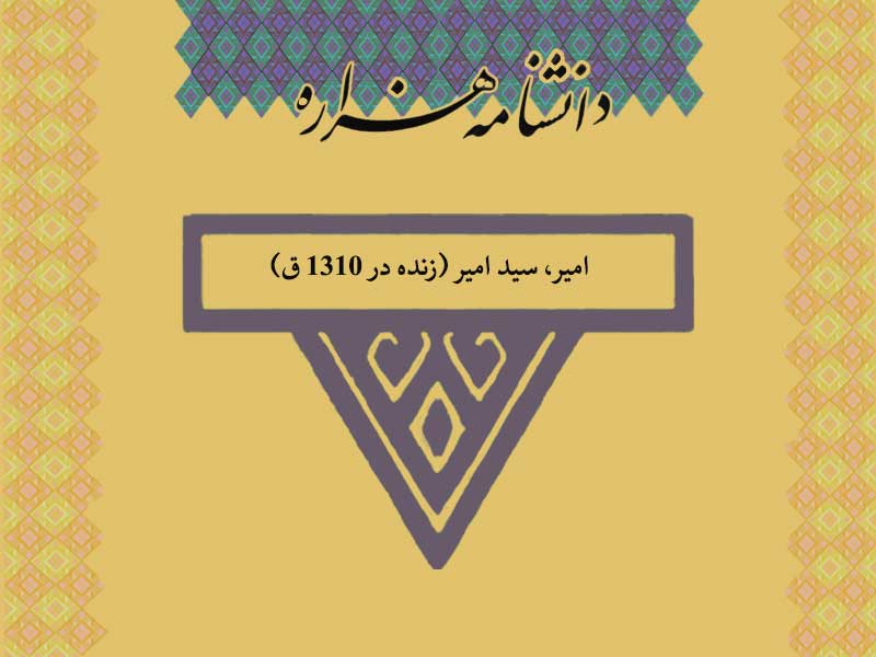 امیر، سید امیر (زنده در ۱۳۱۰ ق)